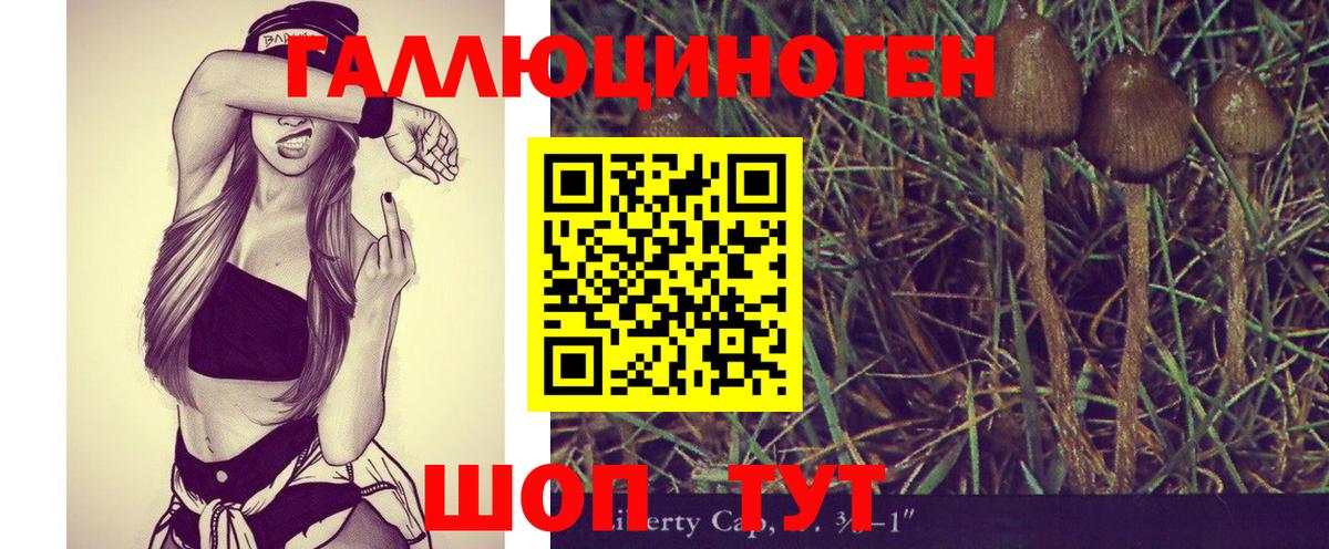 Таганрог  Псилоцибиновые грибы Psilocybe  Псилоцибиновые грибы Magic Shrooms  Вход с VPN 