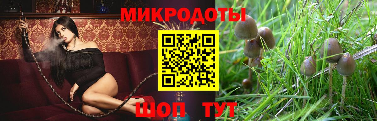 Псилоцибиновые грибы MAGIC MUSHROOMS Таганрог